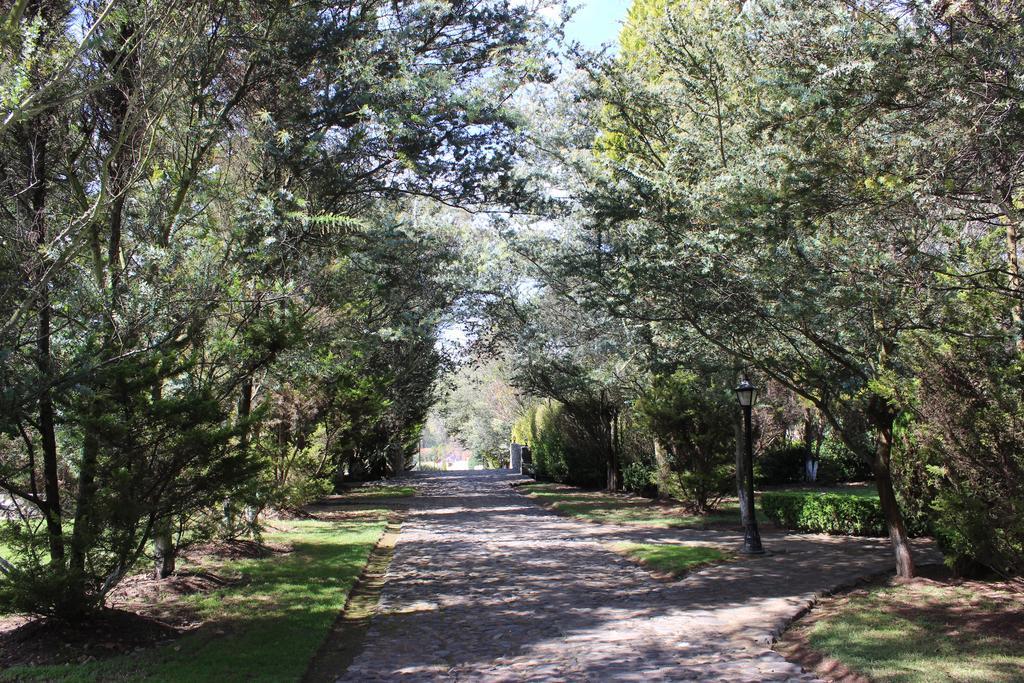 Rancho San Antonio Hotel กูอัสกา เด โอกัมโป ภายนอก รูปภาพ