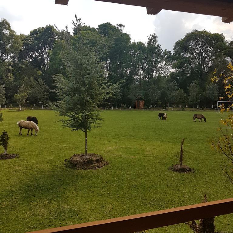 Rancho San Antonio Hotel กูอัสกา เด โอกัมโป ภายนอก รูปภาพ