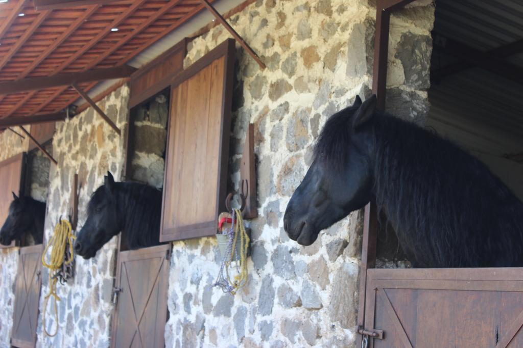 Rancho San Antonio Hotel กูอัสกา เด โอกัมโป ภายนอก รูปภาพ